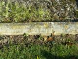 image of grave number 207137